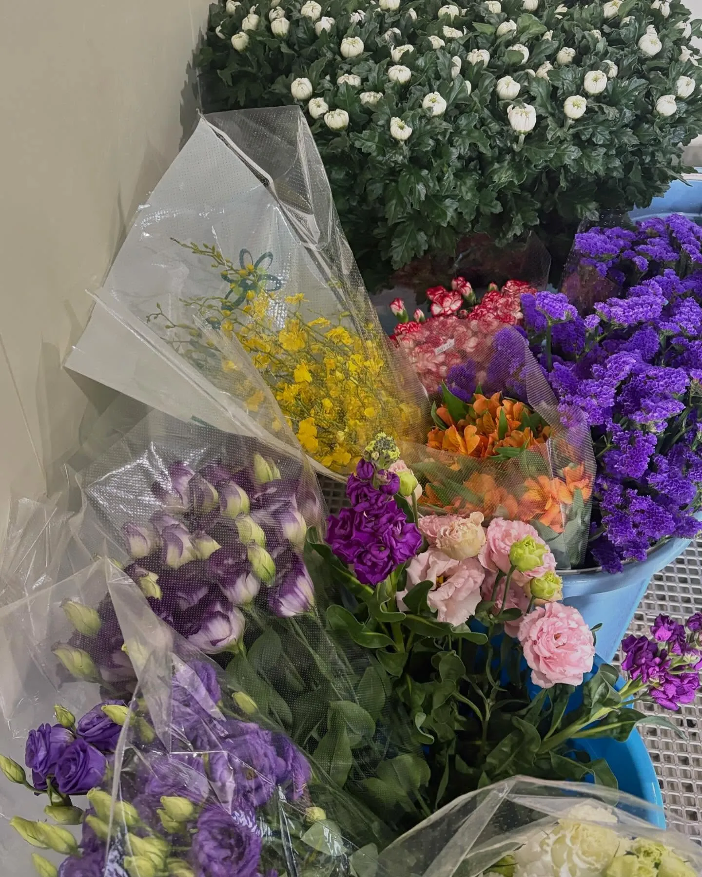 1月も下旬…今週は暖かい日が多かったですが、来週からまた寒く...